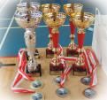 Turniej Innowacji Pedagogicznej Badmintona w Zespole Placówek Oświatowych w Piekoszowie